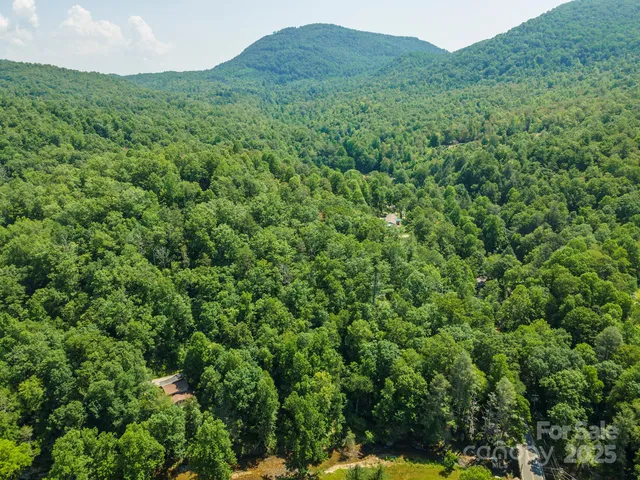 a view of a lush green forest with a house