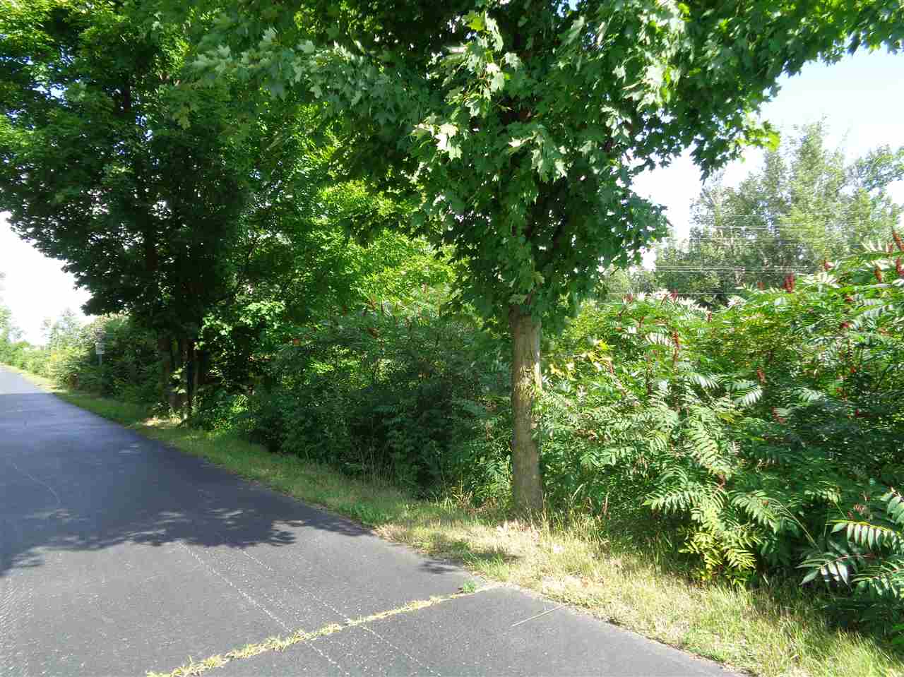 Barnes Road Millington, MI 48746 - Photo 2 of 7 Gallery Image 2
