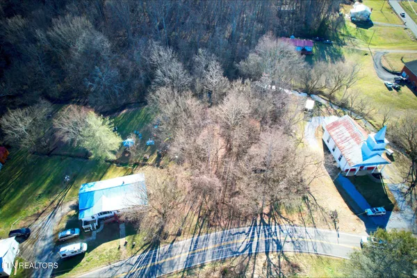 a view of backyard with tree