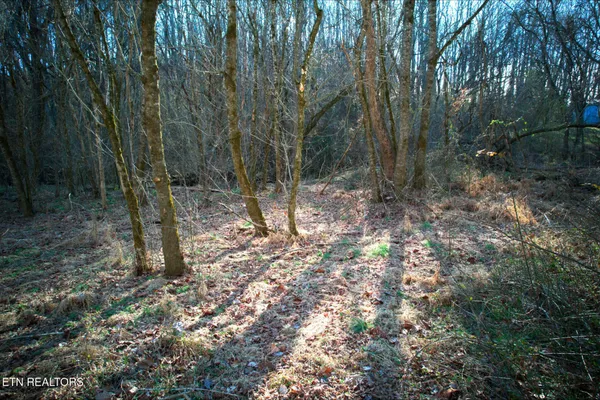 a view of outdoor space