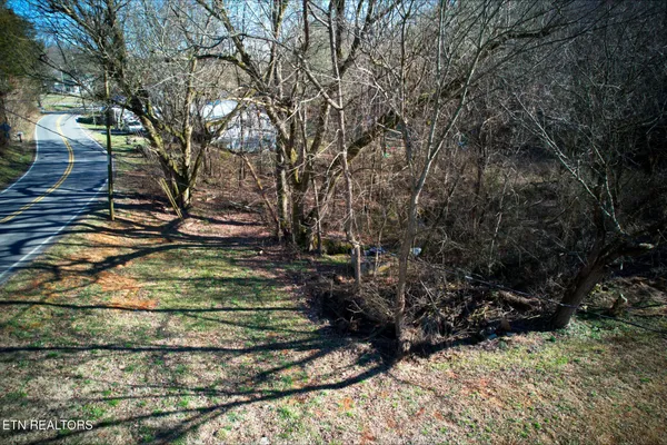 a view of a yard with plants and wooden fence