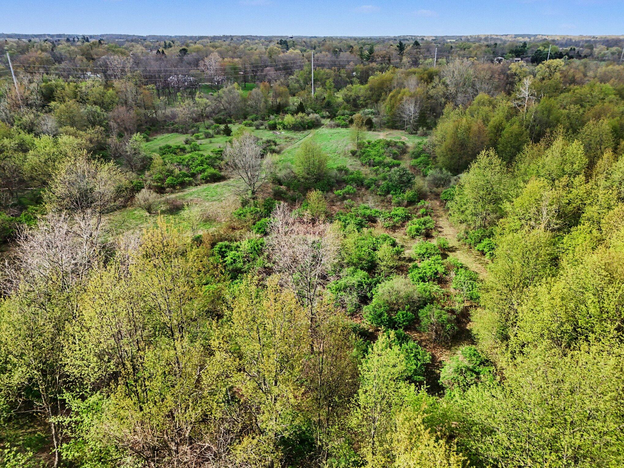 425 Olivet Road Bellevue, MI 49021 - Photo 15 of 15 015_file_8860