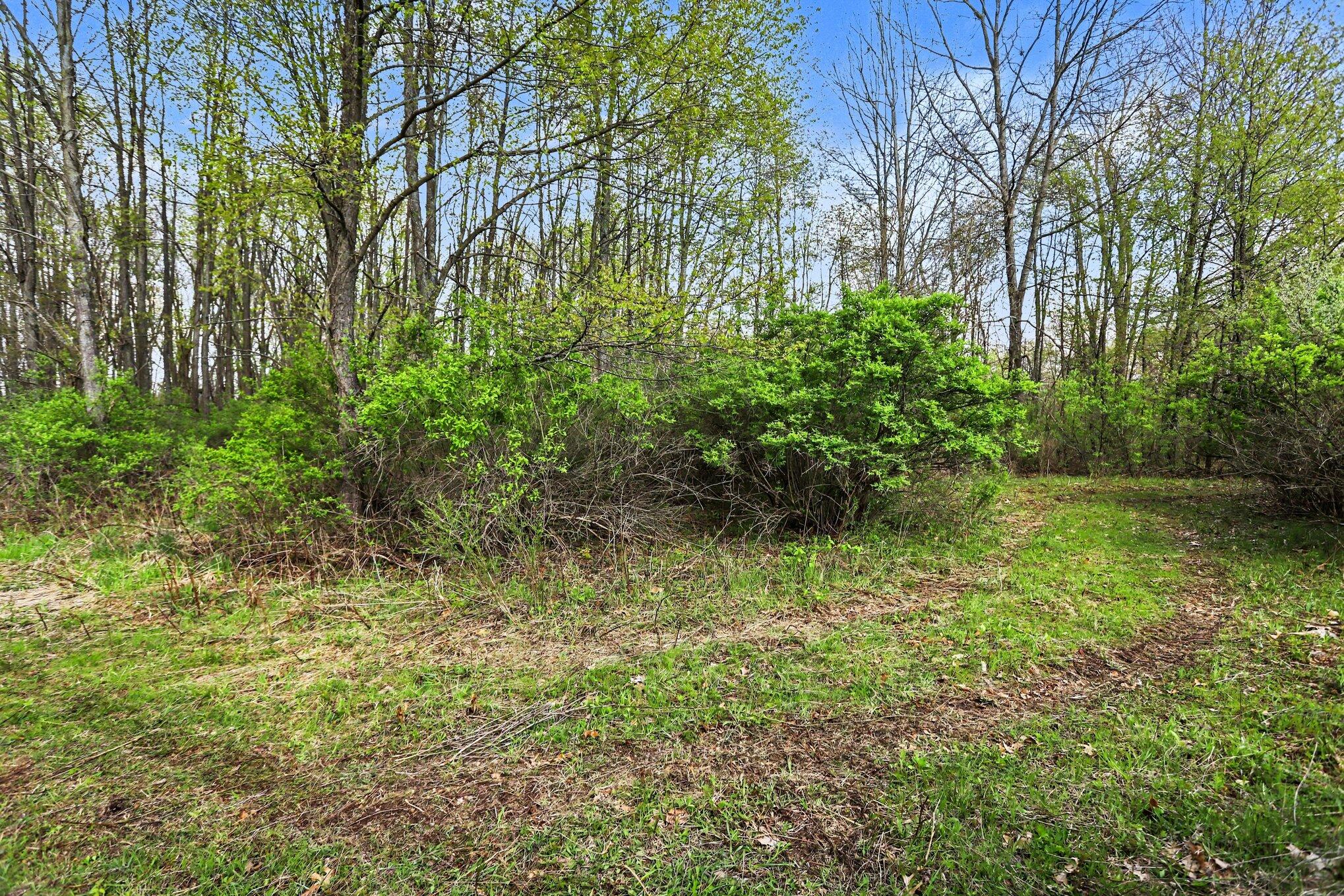 425 Olivet Road Bellevue, MI 49021 - Photo 2 of 15 001_file_5244