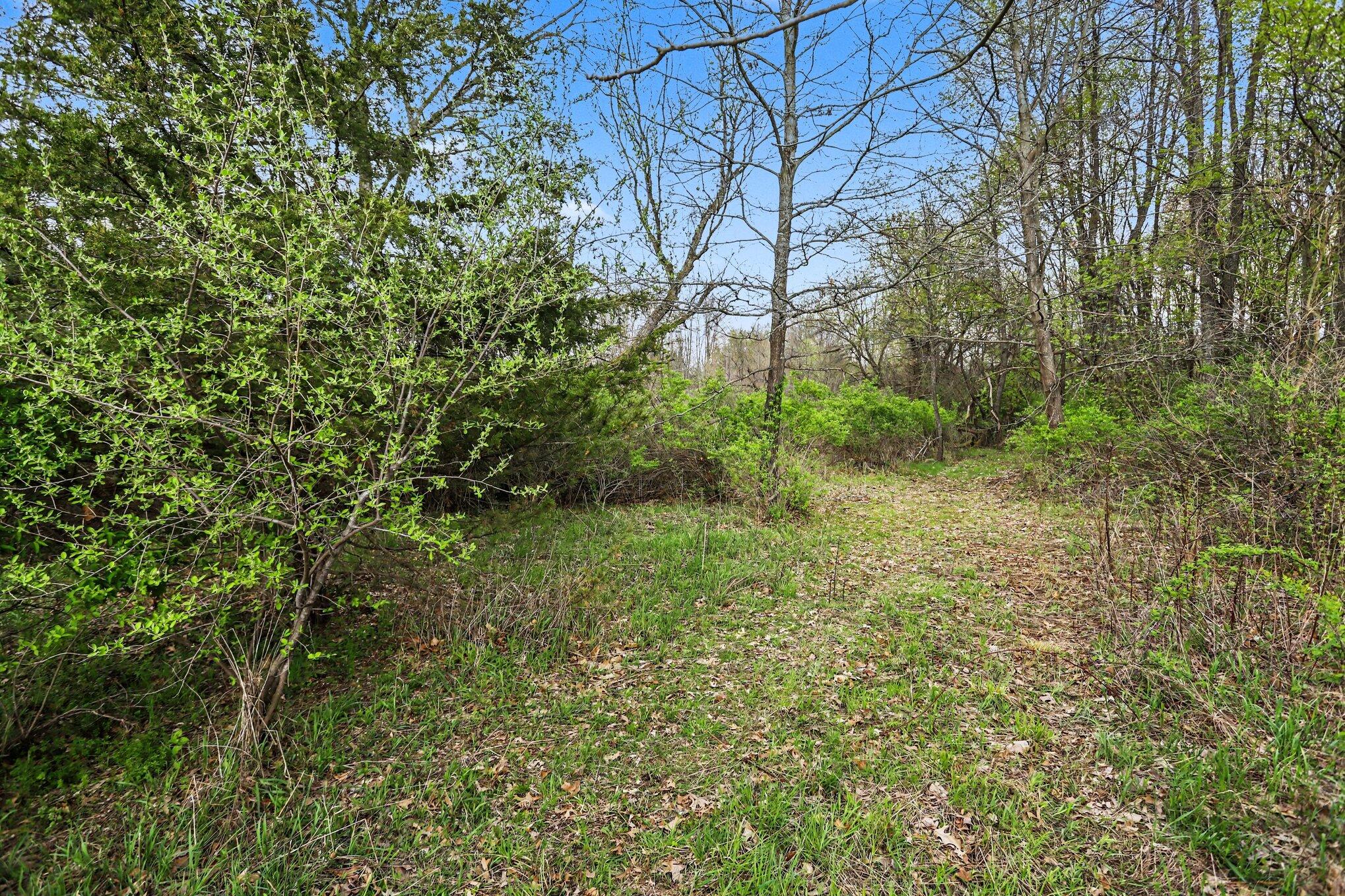 425 Olivet Road Bellevue, MI 49021 - Photo 3 of 15 002_file_3721