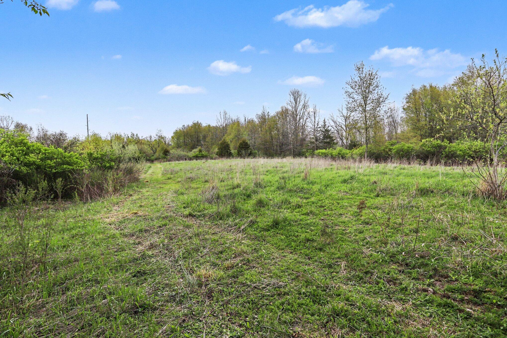425 Olivet Road Bellevue, MI 49021 - Photo 4 of 15 003_file_6105