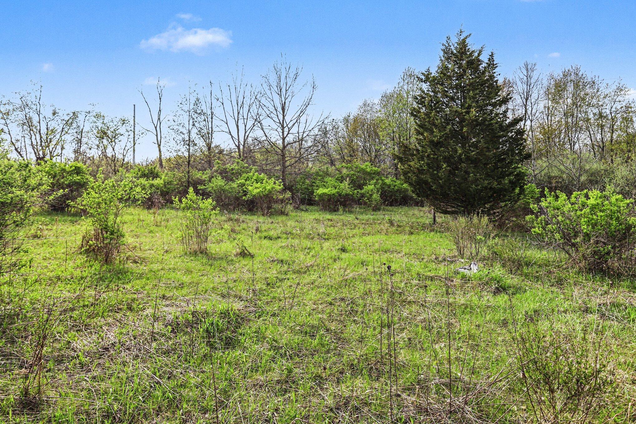 425 Olivet Road Bellevue, MI 49021 - Photo 5 of 15 004_file_6848