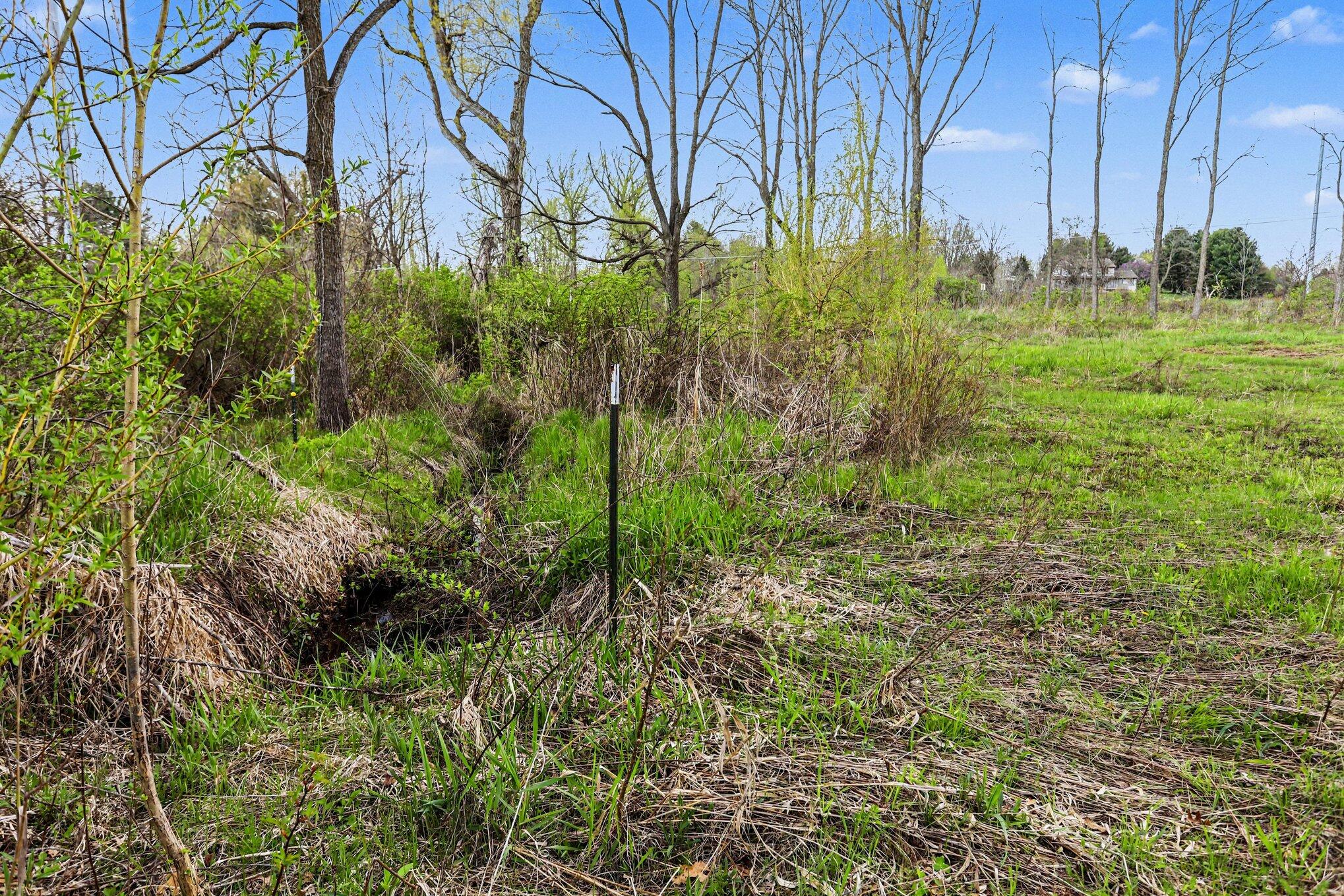 425 Olivet Road Bellevue, MI 49021 - Photo 6 of 15 005_file_6788