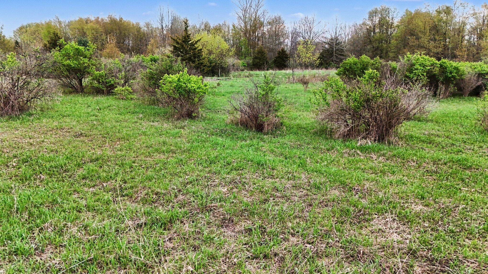 425 Olivet Road Bellevue, MI 49021 - Photo 9 of 15 008_file_5106