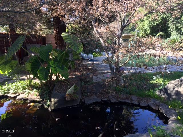 339 South Reed Avenue Reedley, CA 93654 - Photo 12 of 16 a picture of trees