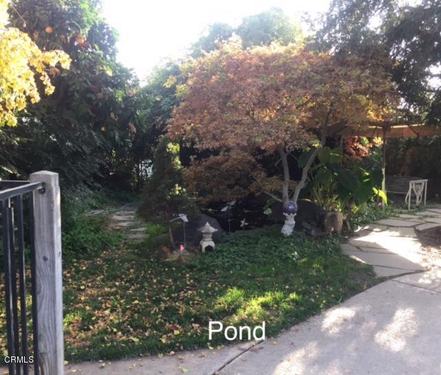 339 South Reed Avenue Reedley, CA 93654 - Photo 16 of 16 a backyard of a house with lots of green space