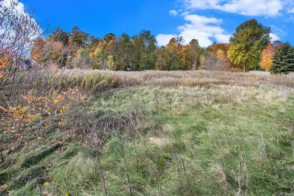 $58,000 | 16151 Farmstone Street, Schoolcraft, MI 49087