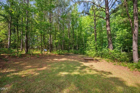 a view of a yard with a tree