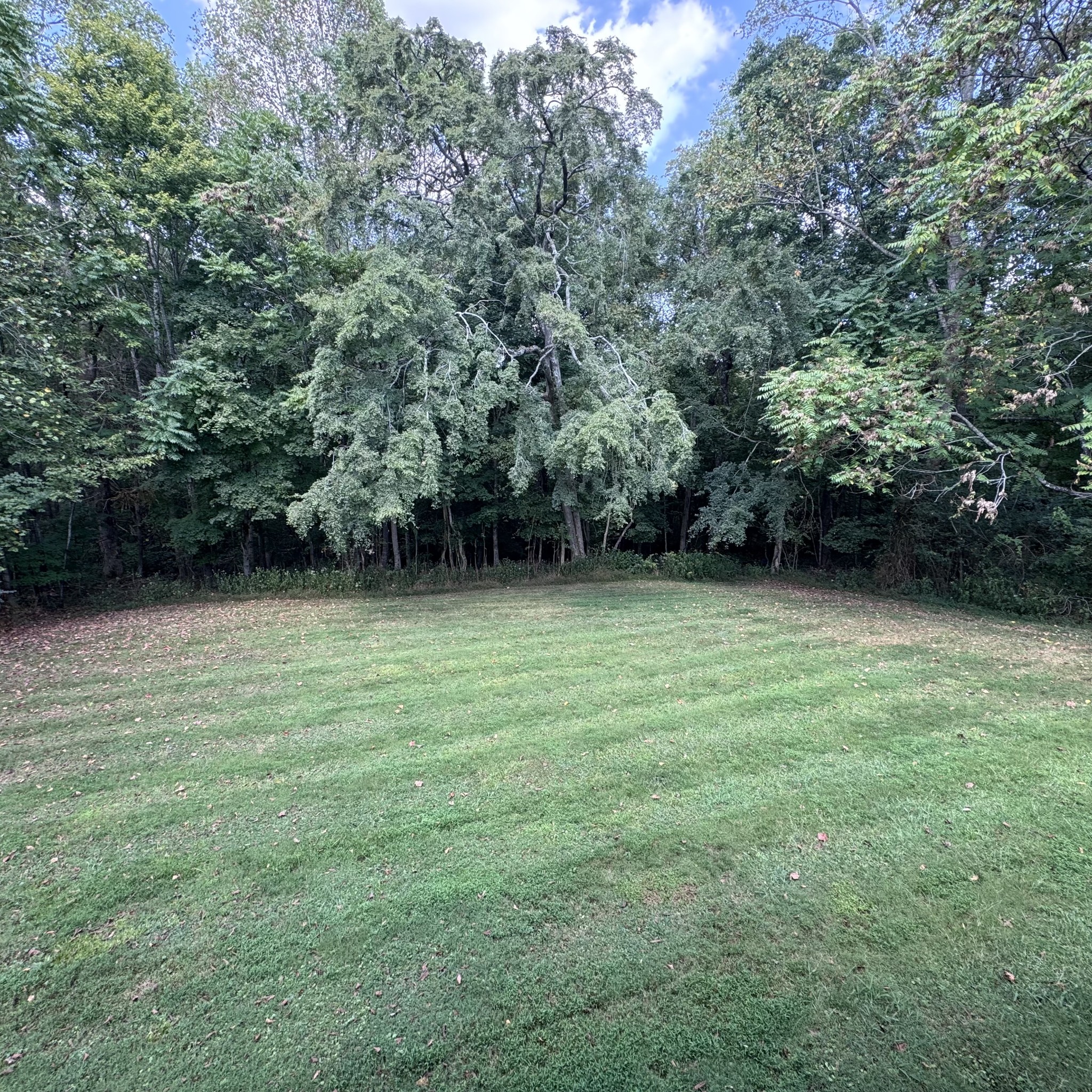 634 Bennett Hill Road Red Boiling Springs, TN 37150 - Photo 23 of 28 Gallery Image 23