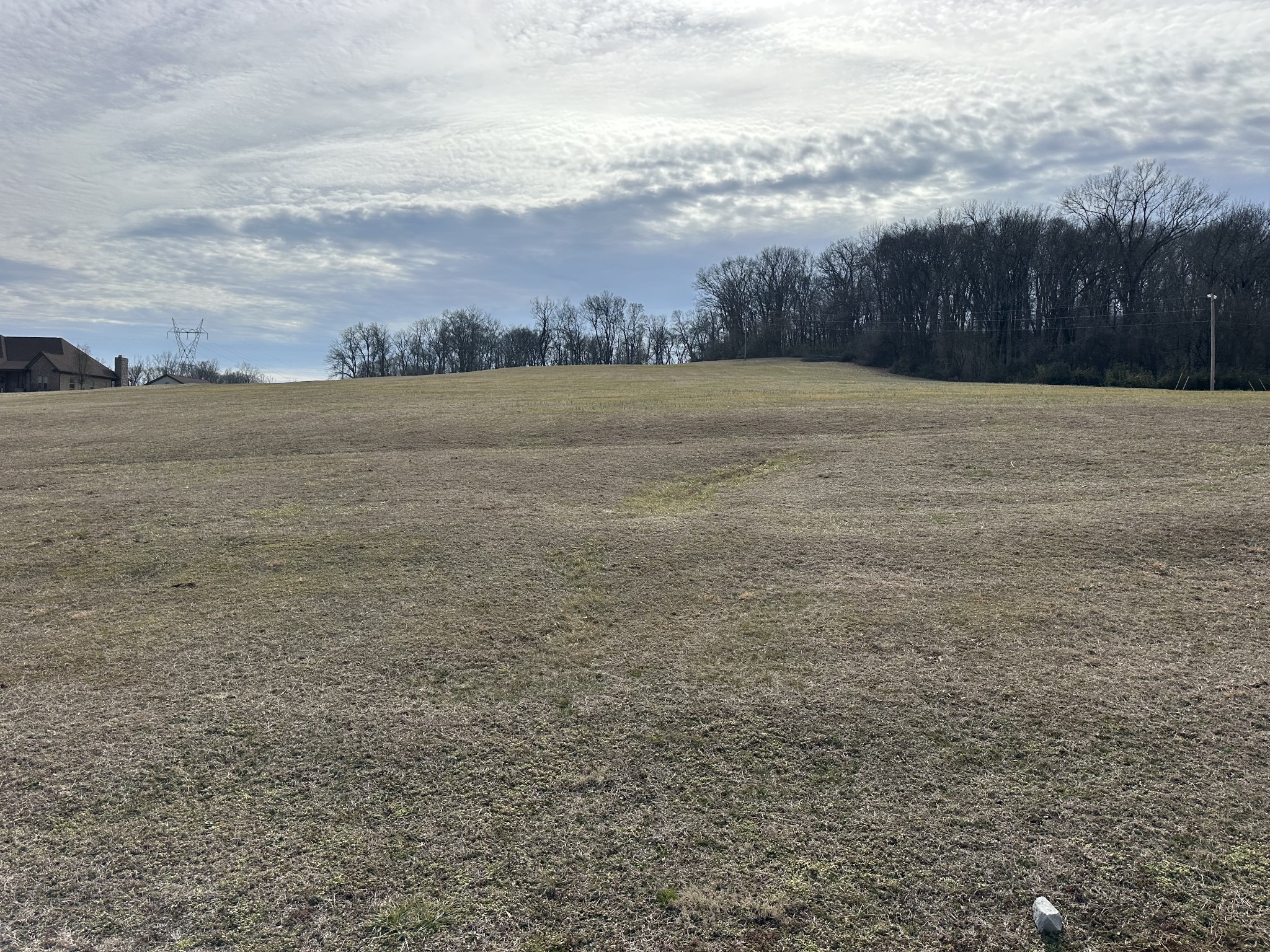 0 Darks Mill Road West Columbia, TN 38401 - Photo 2 of 7