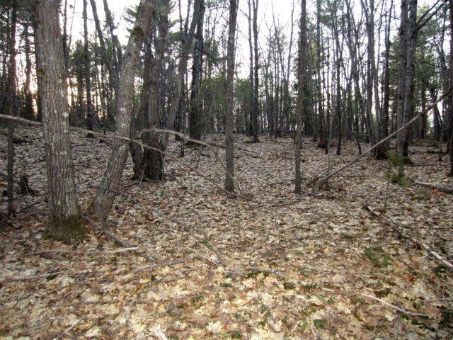 512 B Carding Machine Road Bowdoinham, ME 04008 - Photo 4 of 11 Photo
