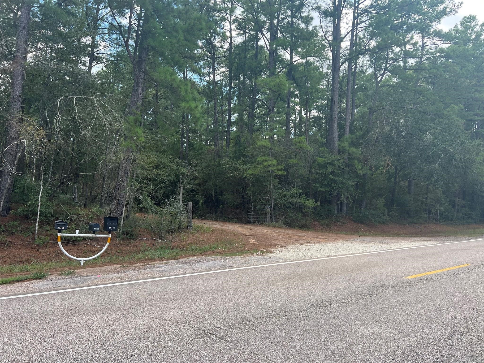16646 East Sioux Drive Hempstead, TX 77445 - Photo 3 of 3 a view of swimming pool with a yard