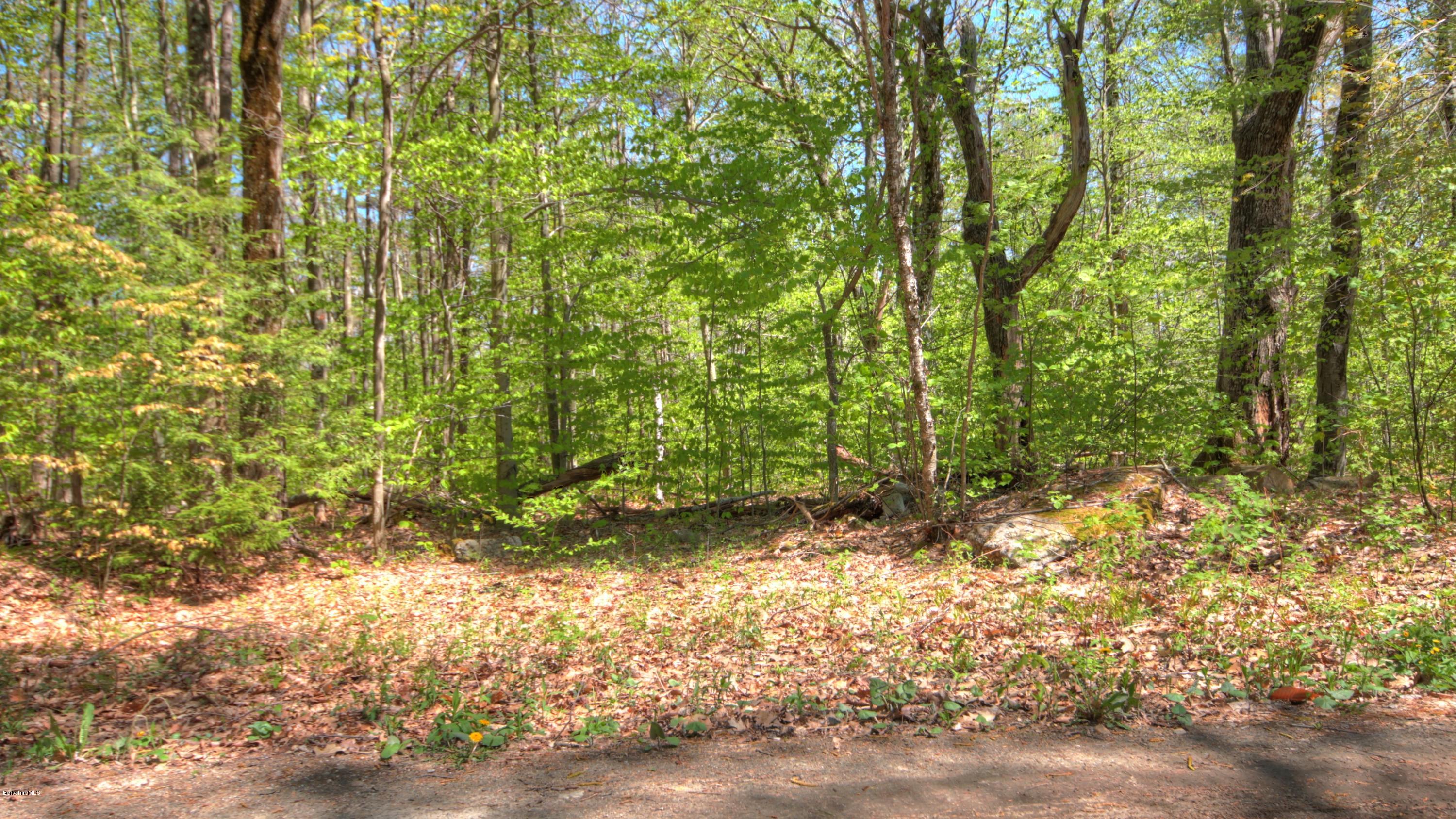 Norwalk Acres Road Monterey, MA 01245 - Photo 1 of 4 a view of a yard with plants and large trees