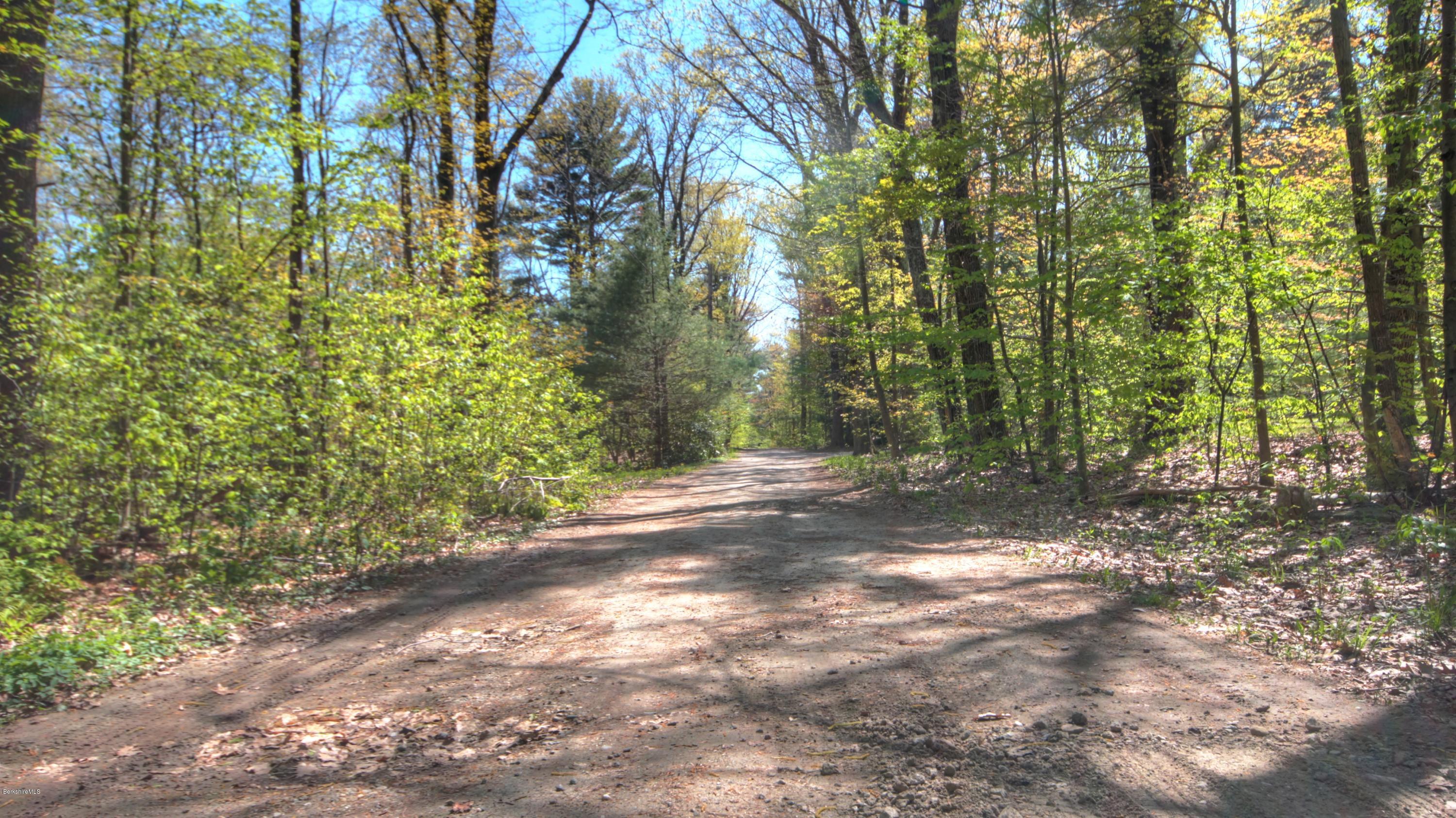 Norwalk Acres Road Monterey, MA 01245 - Photo 2 of 4 a view of a yard with plants and trees