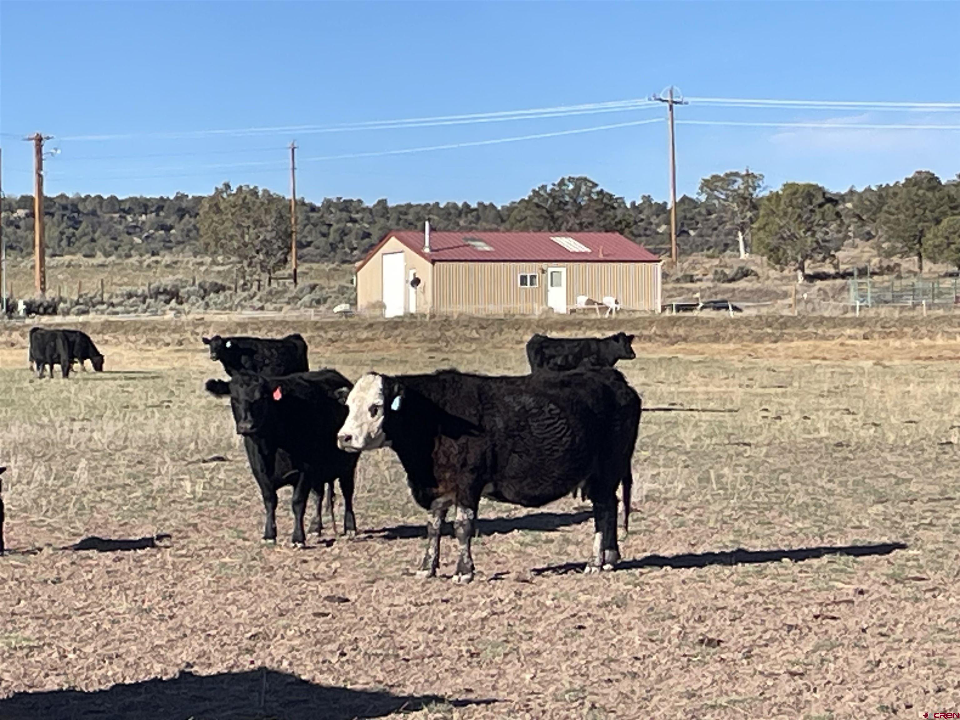 a view of balcony with table and chairs