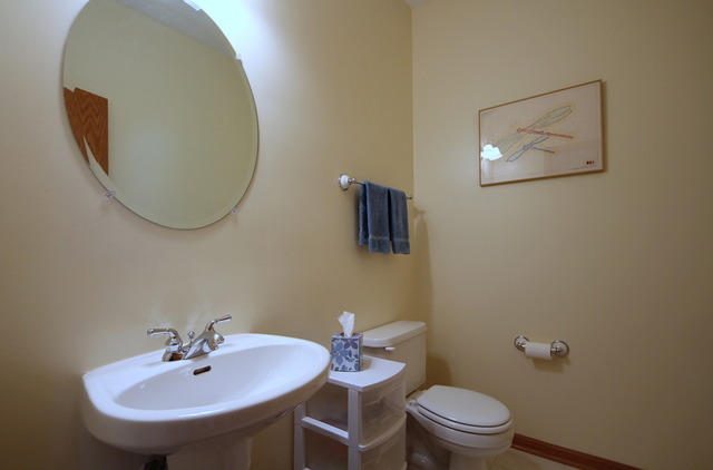 1283 Georgetown Way Vernon Hills, IL 60061 - Photo 16 of 25 a bathroom with a sink and a mirror