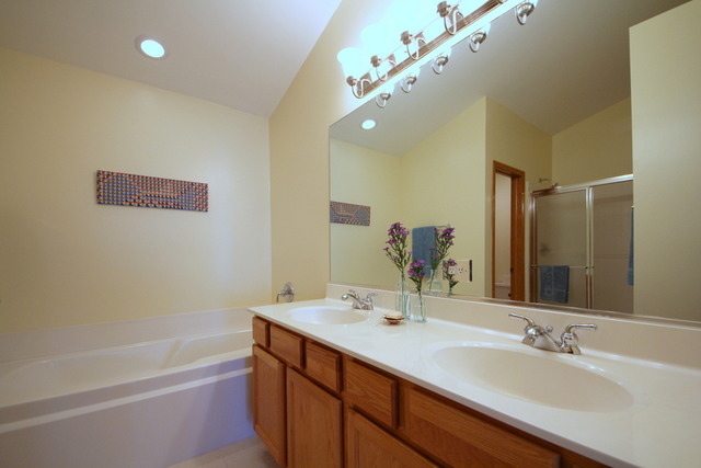 1283 Georgetown Way Vernon Hills, IL 60061 - Photo 19 of 25 a bathroom with a tub sink and mirror