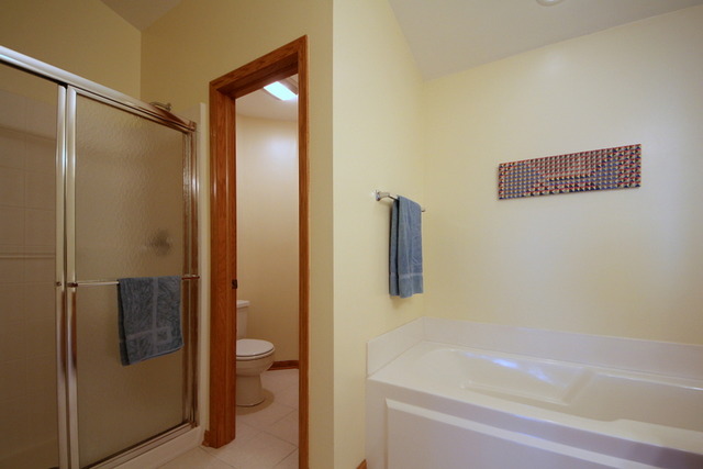 1283 Georgetown Way Vernon Hills, IL 60061 - Photo 20 of 25 a bathroom with a shower and a toilet
