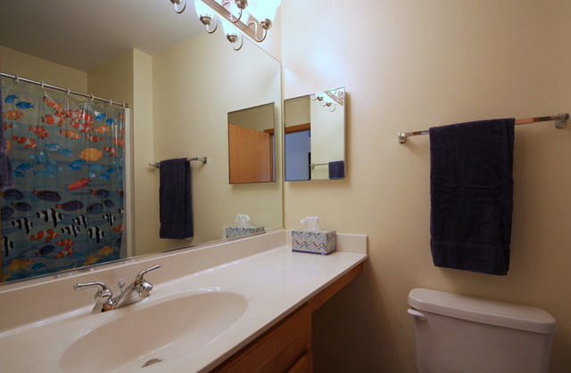 1283 Georgetown Way Vernon Hills, IL 60061 - Photo 22 of 25 a bathroom with a sink toilet and shower
