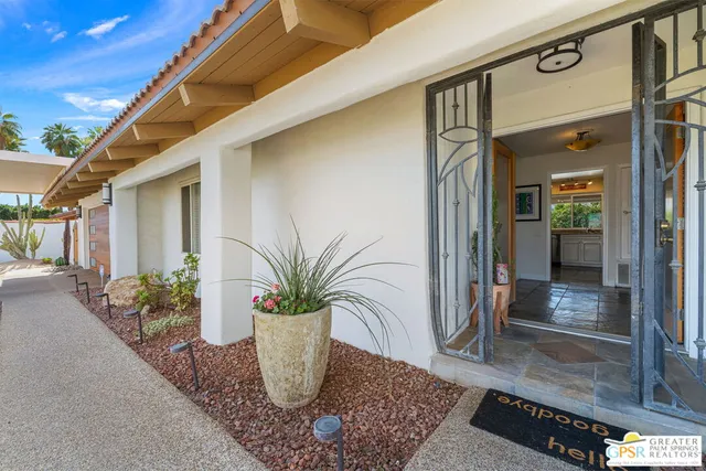 a potted plant in front of a glass door