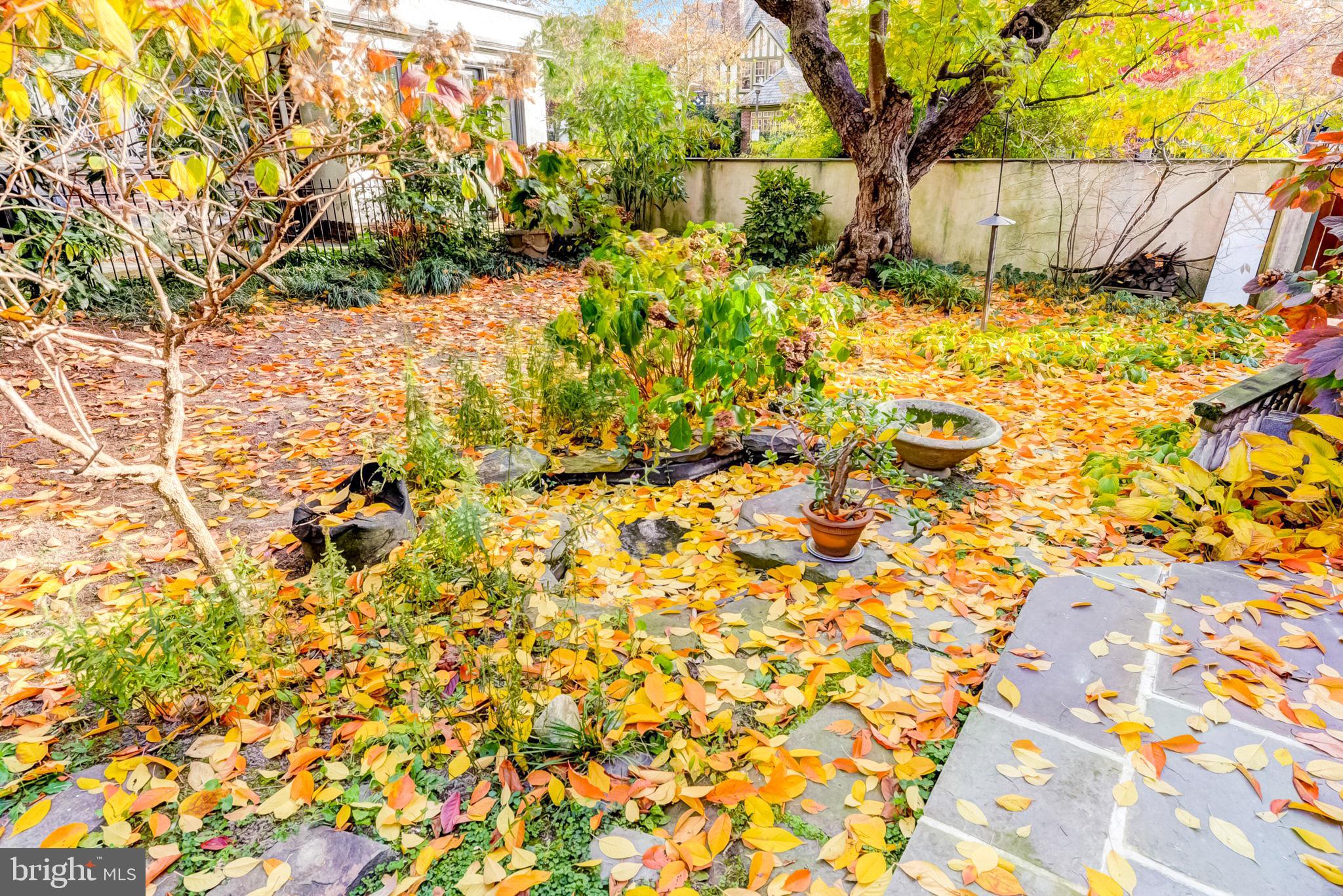 415 South 47th Street Philadelphia, PA 19143 - Photo 4 of 69