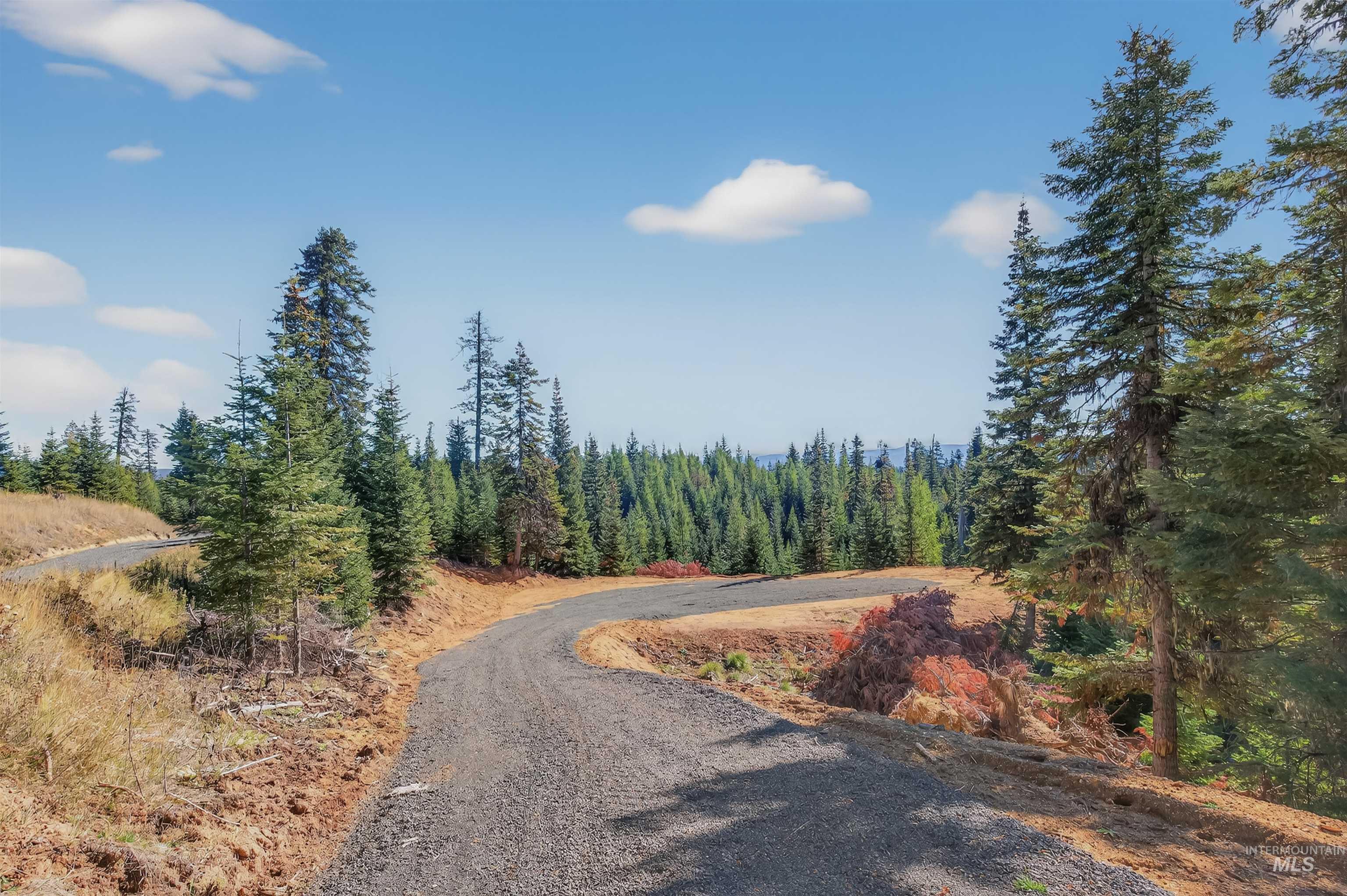2 Tree Farm Trails Road Elk City, ID 83525 - Photo 2 of 6 View of dirt / gravel road featuring a view of trees