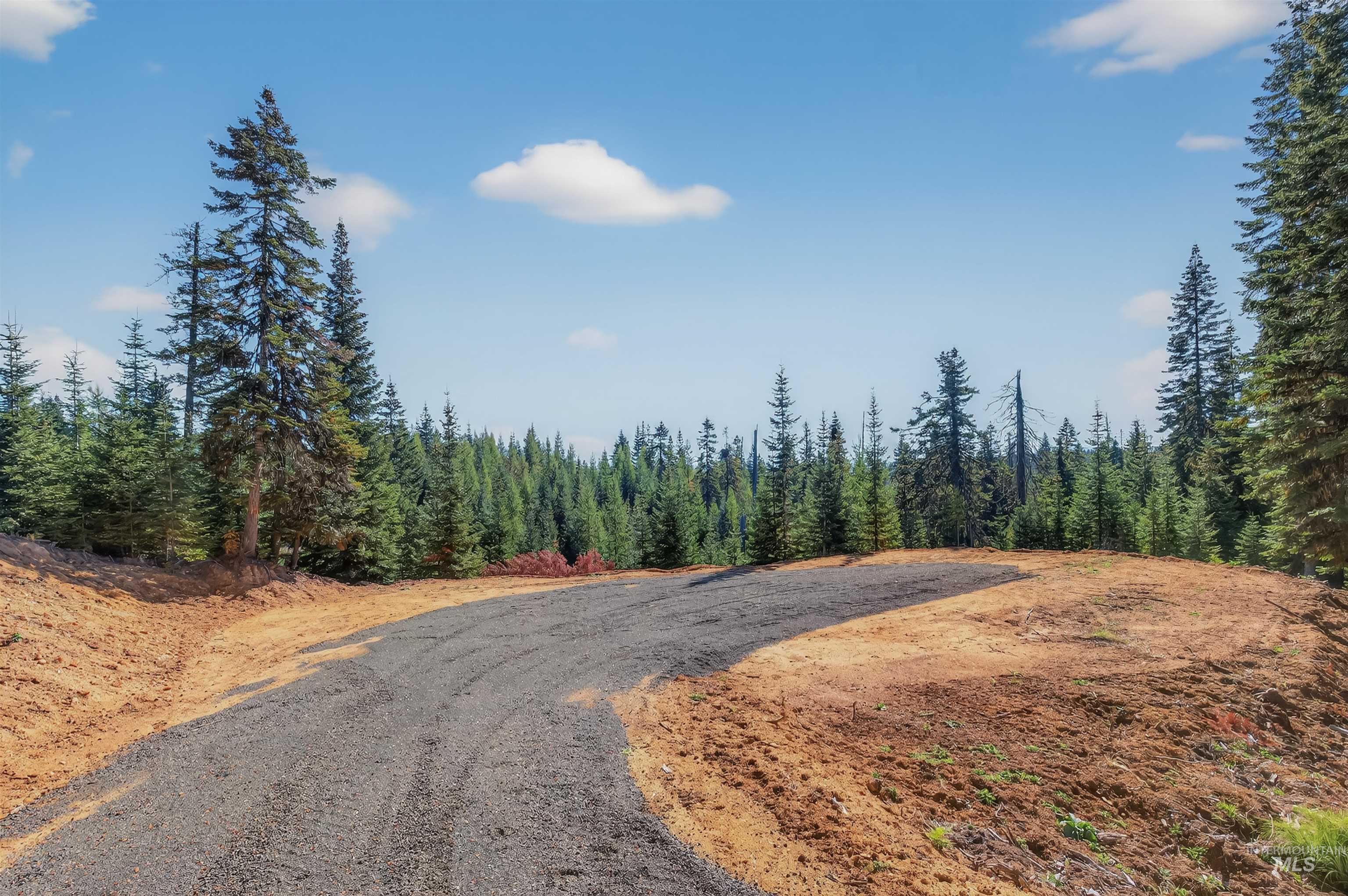 2 Tree Farm Trails Road Elk City, ID 83525 - Photo 6 of 6 View of street featuring a forest view