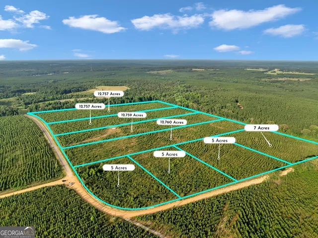 $89,000 | Parcel 8 Carl Rodgers Road, Reynolds, GA 31076