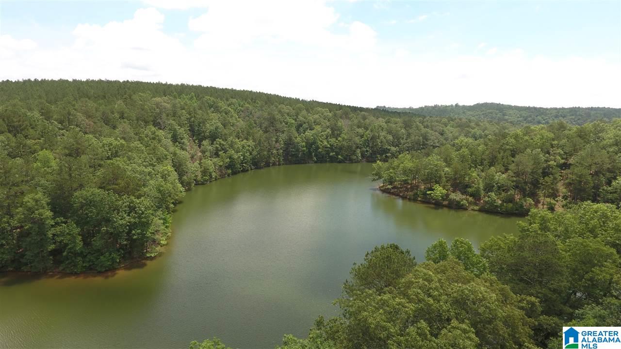 Firefly Lane, Unit 20 Lineville, AL 36266 - Photo 6 of 6