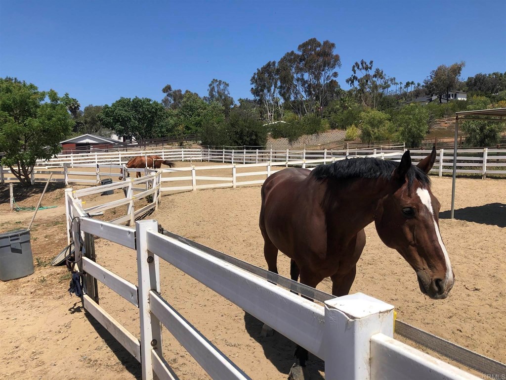 3055 Brookside Lane Encinitas, CA 92024 - Photo 5 of 32