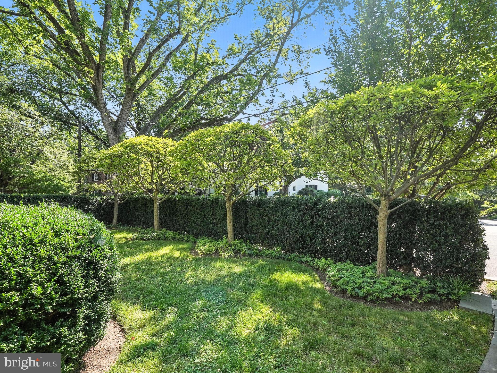 1804 45th Street Northwest Washington, DC 20007 - Photo 52 of 52 a view of outdoor space and yard