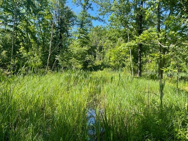 On Shawano Line Road Gillett, WI 54124 - Photo 2 of 10 Gallery Image 2