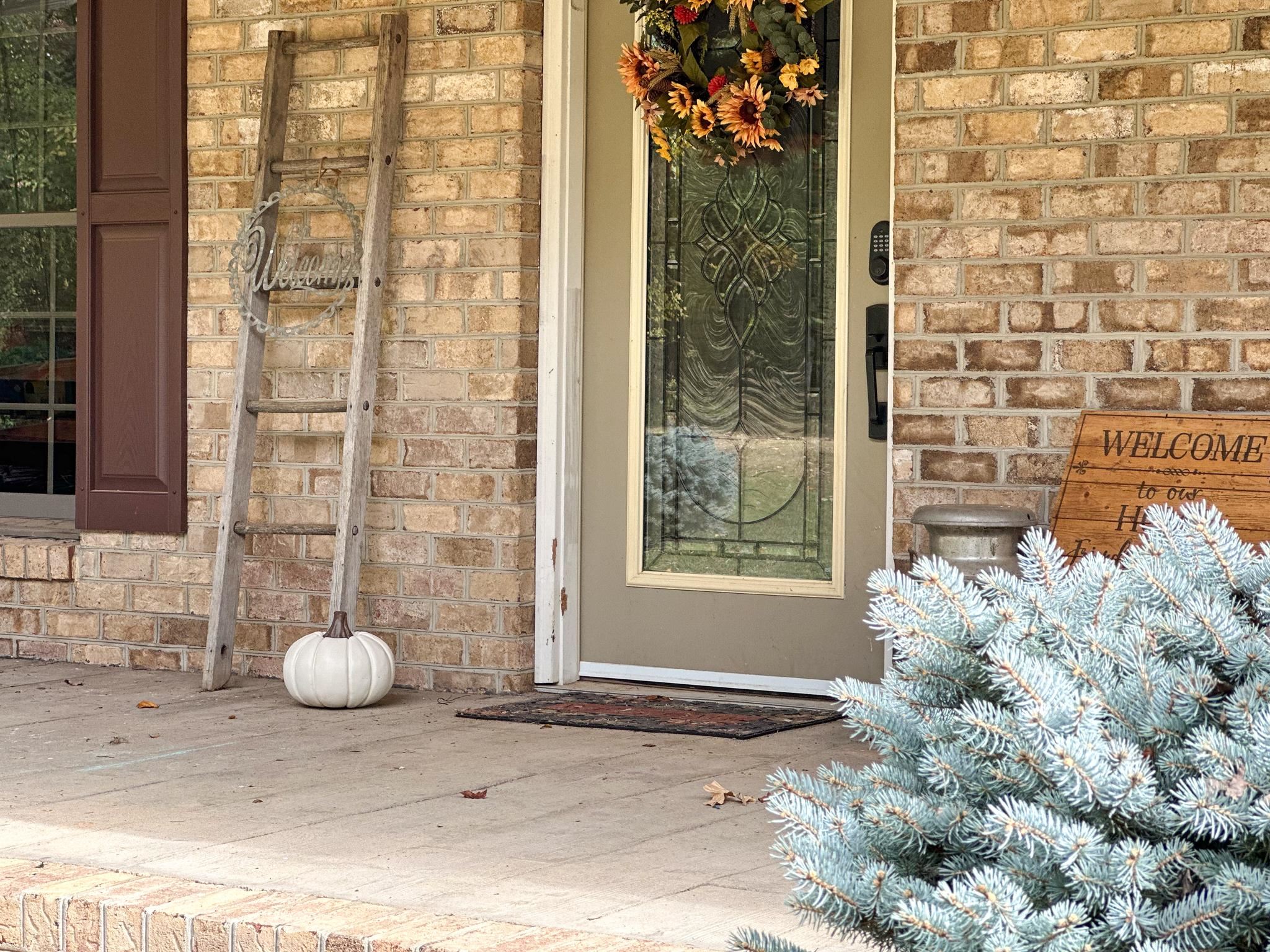 1426 Roman Road Mount Sidney, VA 24467 - Photo 11 of 46 a view of a backyard of the house