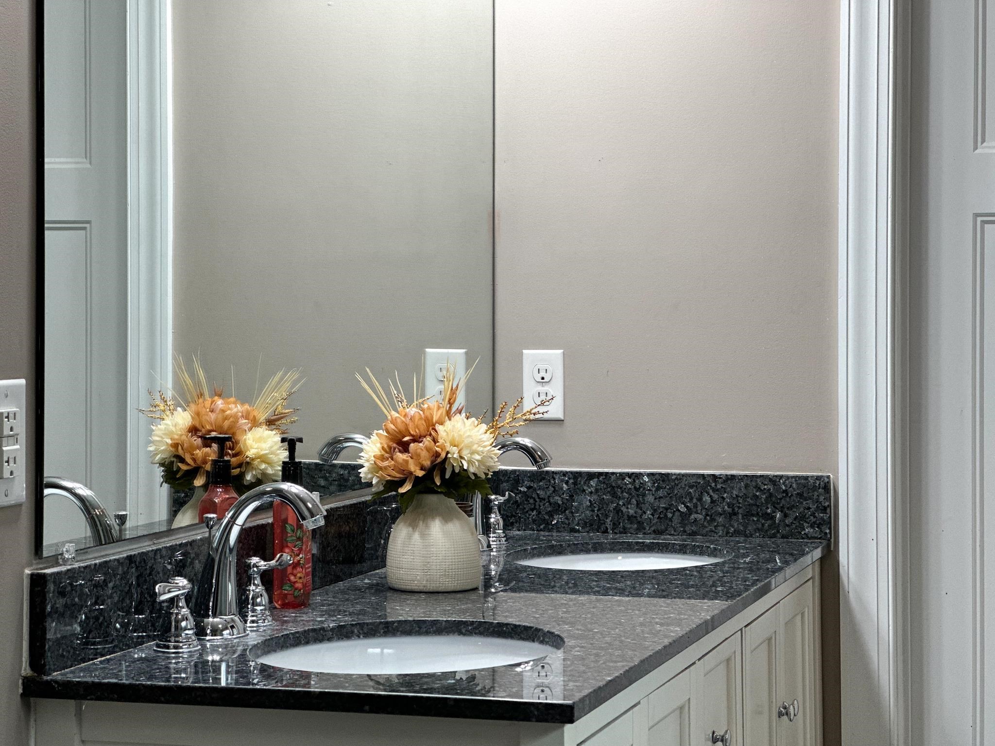 1426 Roman Road Mount Sidney, VA 24467 - Photo 36 of 46 a bathroom with a sink