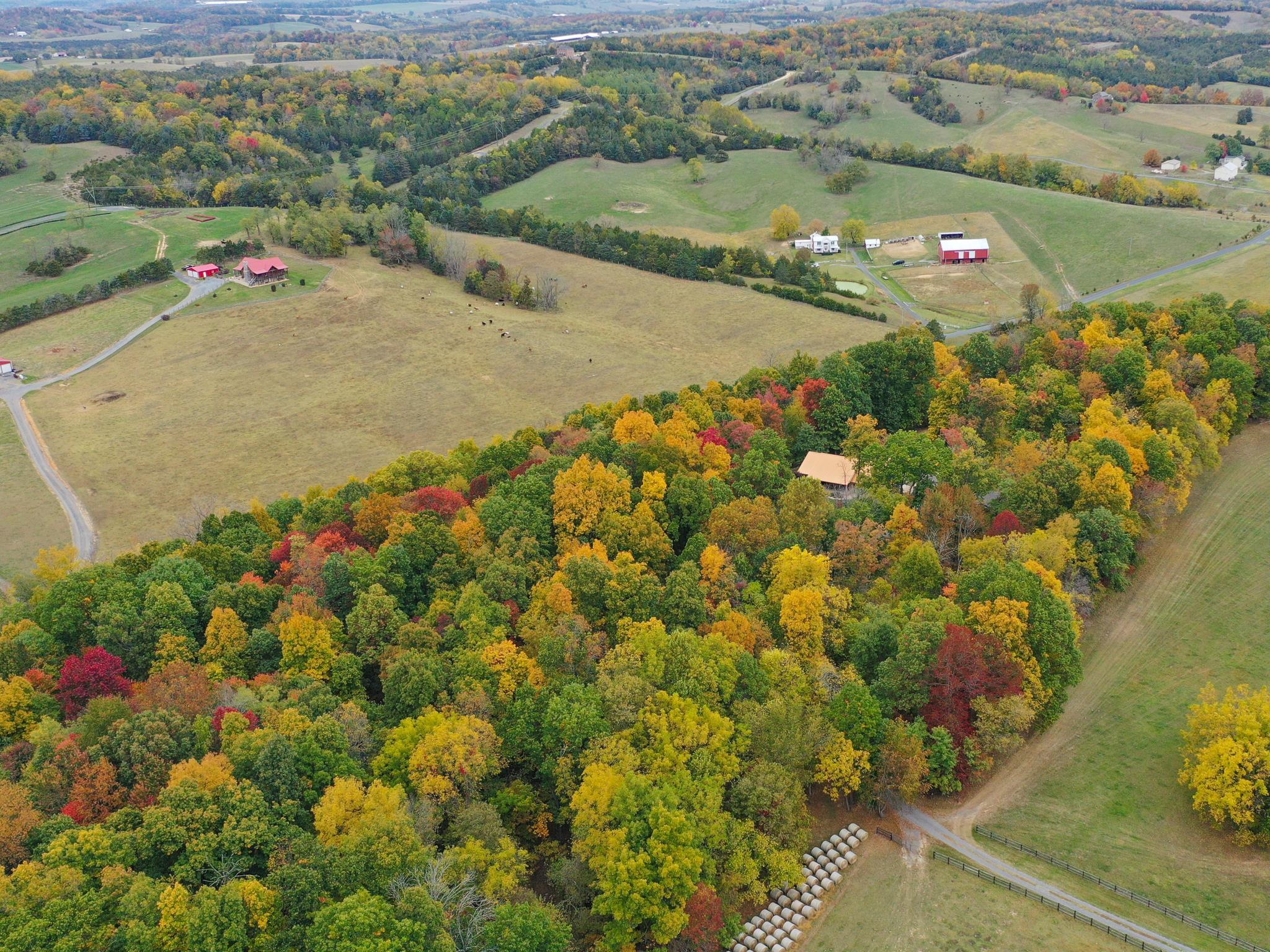 1426 Roman Road Mount Sidney, VA 24467 - Photo 4 of 46 an aerial view of a houses with a yard