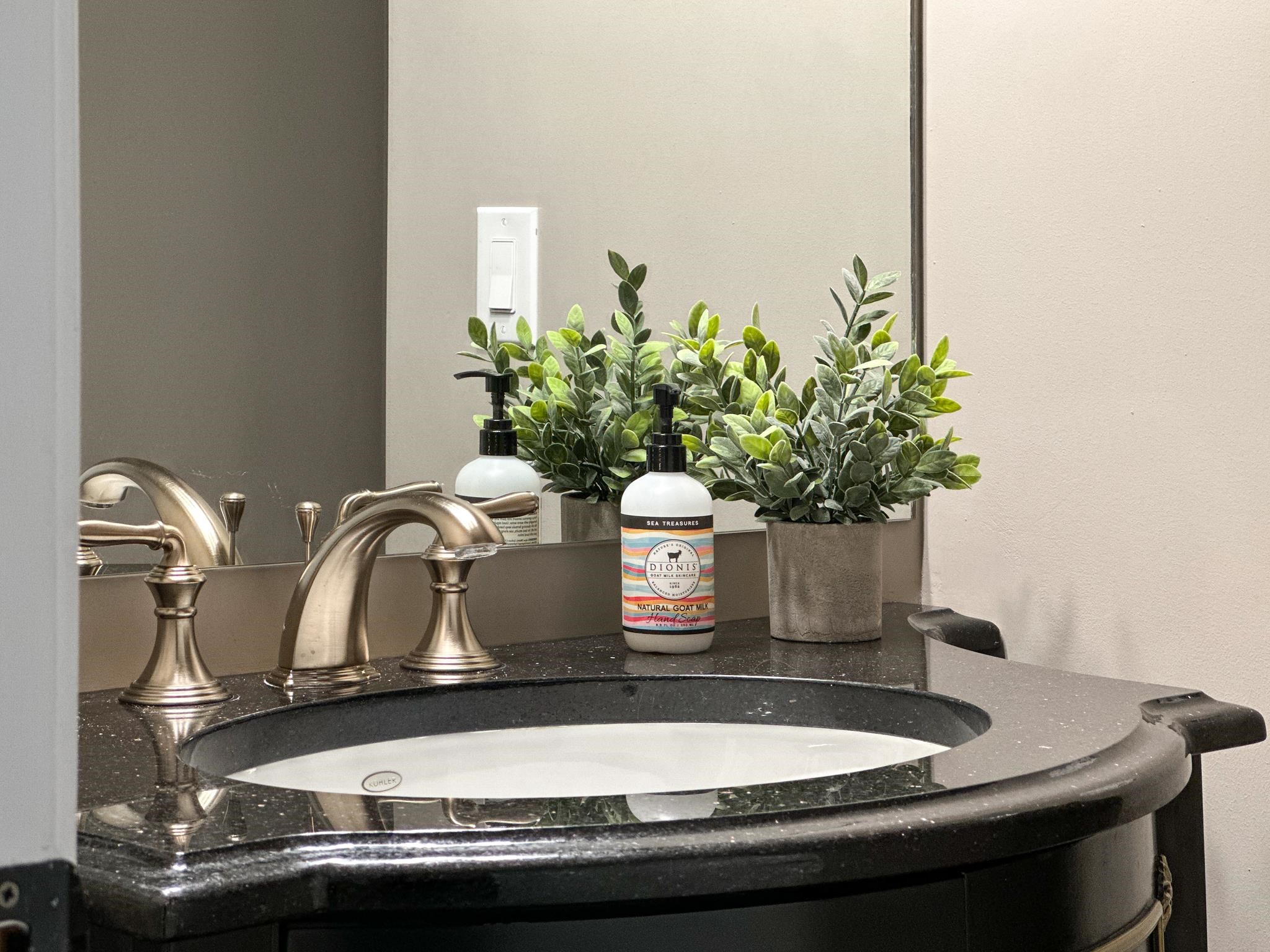 1426 Roman Road Mount Sidney, VA 24467 - Photo 44 of 46 a closeup of a sink with a potted plant on it