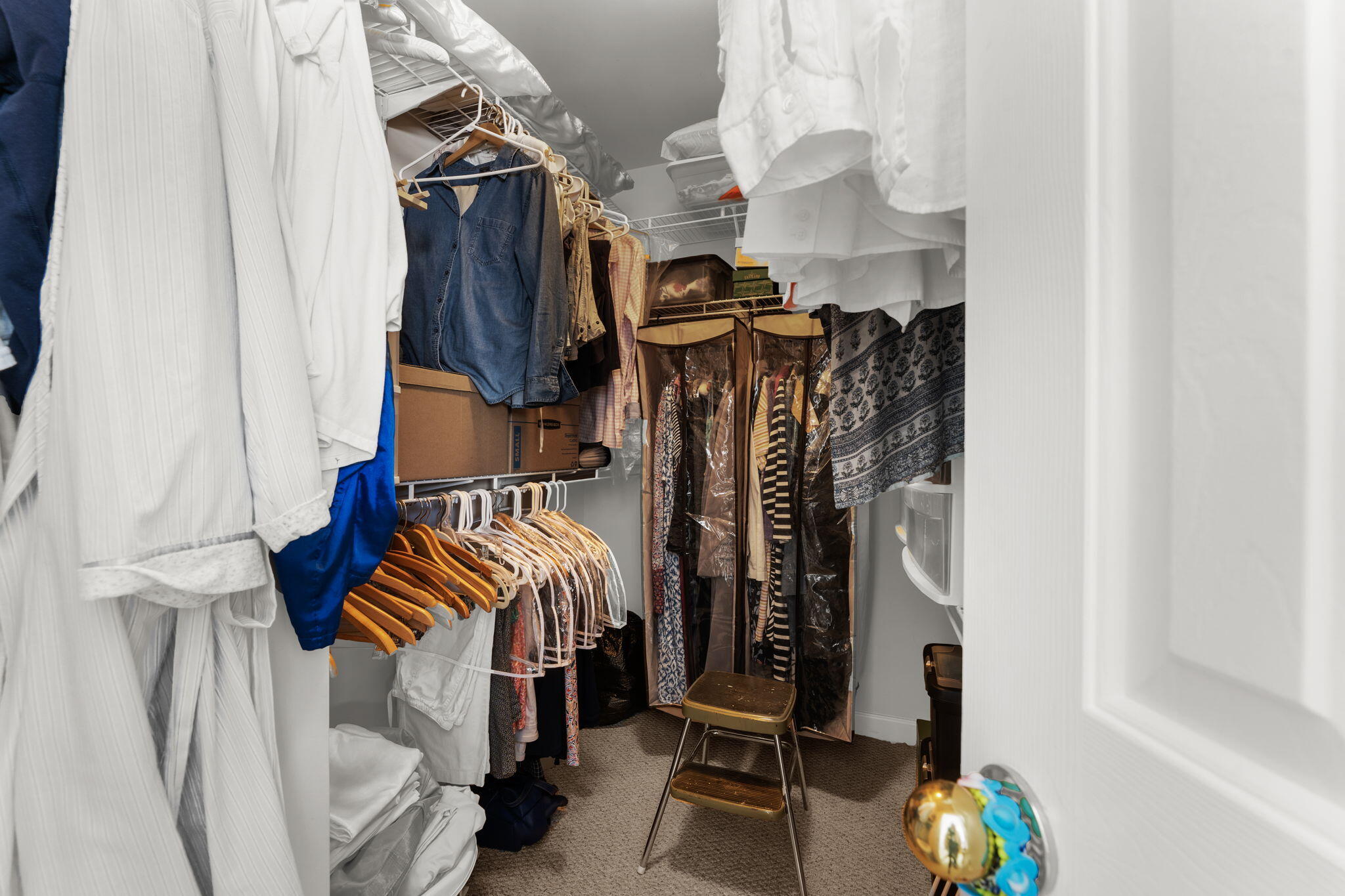 1441 Wellbrooke Lane Mount Pleasant, SC 29466 - Photo 19 of 33 1-web-or-mls-DSC02720