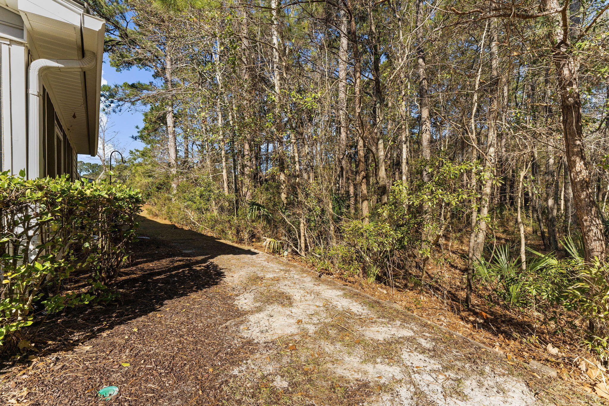 1441 Wellbrooke Lane Mount Pleasant, SC 29466 - Photo 28 of 33 29-web-or-mls-DSC02872