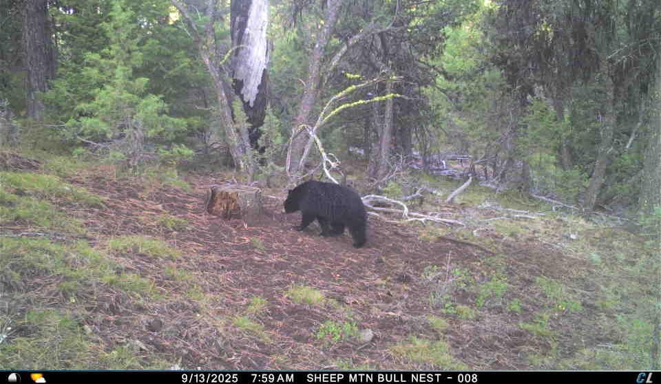 Franks Creek Road Monument, OR 97864 - Photo 14 of 29 IMG_1524