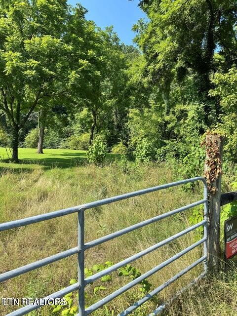 River Bank Road, Unit 34 Pigeon Forge, TN 37863 - Photo 12 of 12 20250713163241045406000000-o