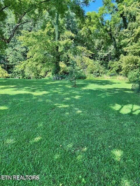 River Bank Road, Unit 34 Pigeon Forge, TN 37863 - Photo 4 of 12 20250713163232634488000000-o