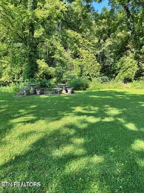 River Bank Road, Unit 34 Pigeon Forge, TN 37863 - Photo 5 of 12 20250713163233838323000000-o