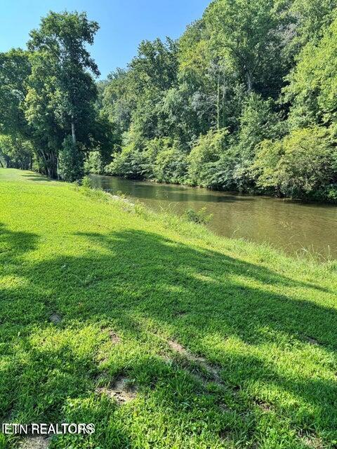 River Bank Road, Unit 34 Pigeon Forge, TN 37863 - Photo 8 of 12 20250713163236595426000000-o