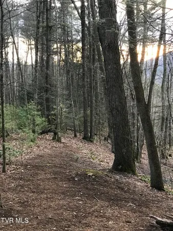 $74,900 | Tbd00 Mohawk Drive, Unit 11, Mountain City, TN 37683