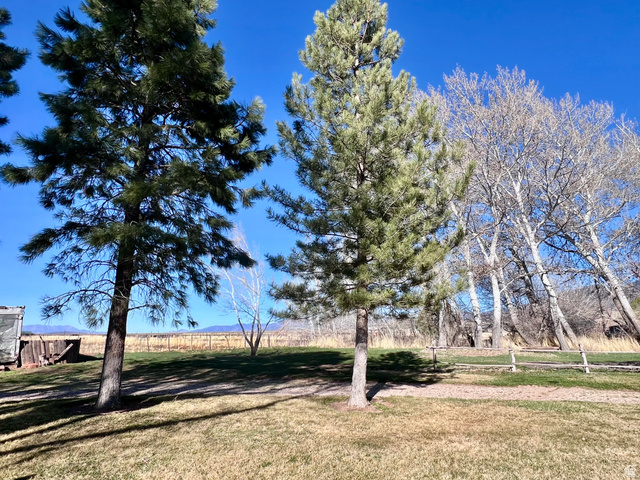 479 East 100 N Road Meadow, UT 84644 - Photo 51 of 59 View of yard