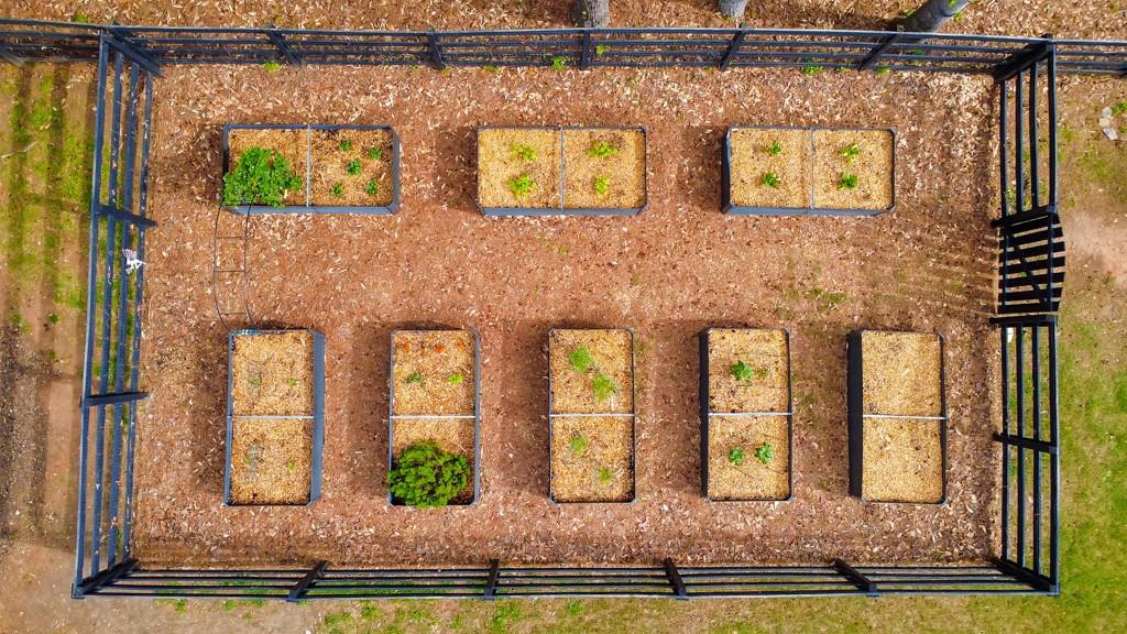 5234 Dewberry Road Acworth, GA 30101 - Photo 57 of 65